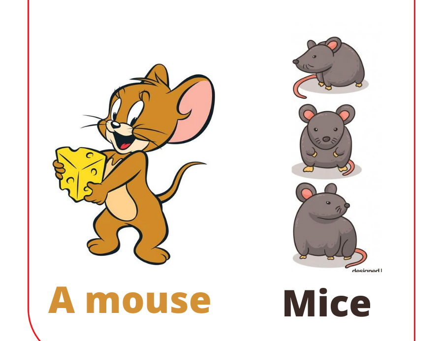 Các danh từ bất quy tắc thay đổi đáng kể