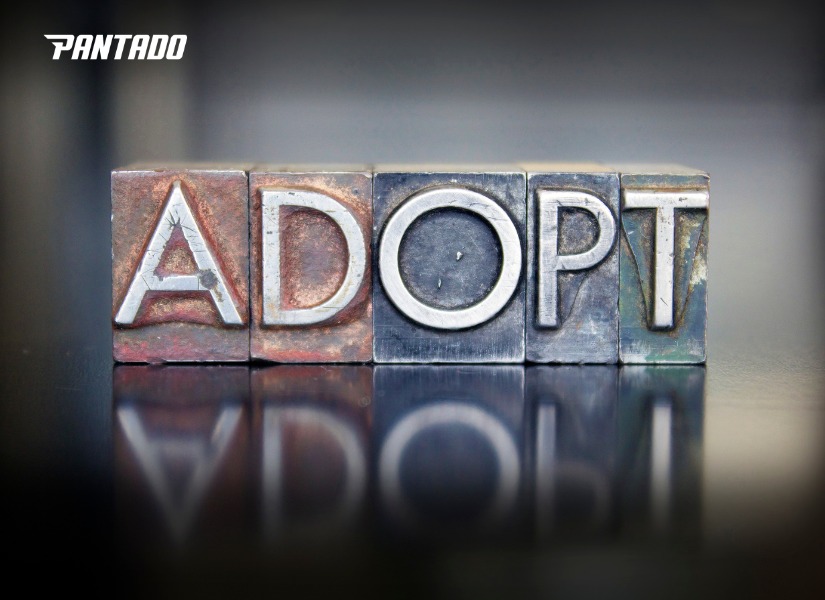 “Adopt” nghĩa là gì?