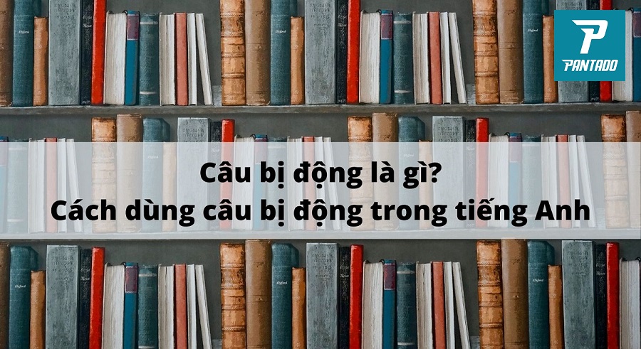 câu bị động trong tiếng anh lớp 8