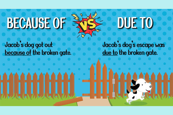 cấu trúc due to trong tiếng Anh