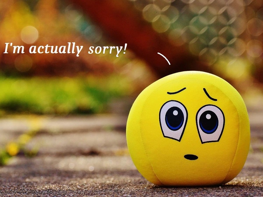 cách dùng đơn giản với 'I’m sorry' trở nên thú vị hơn