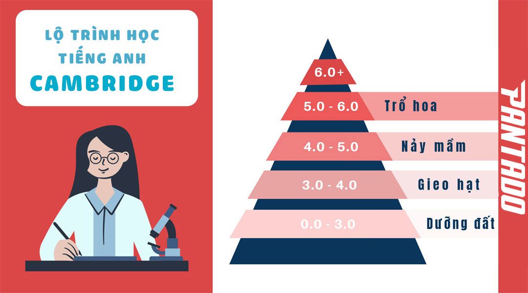 Cách lựa chọn lộ trình Cambridge phù hợp cho trẻ