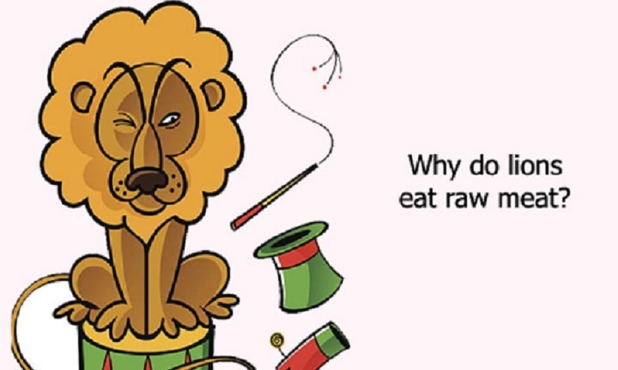 Mẹo để tăng tốc độ học tiếng anh của bạn