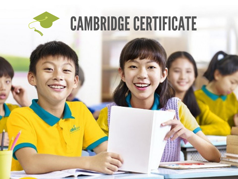 chứng chỉ tiếng anh cho bé