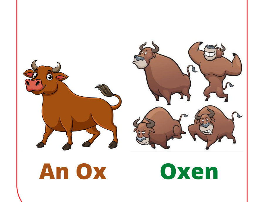 Các danh từ bất quy tắc thay đổi đáng kể