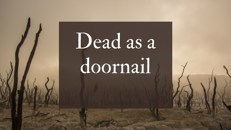 Thành ngữ một phần quan trọng của việc học tiếng Anh