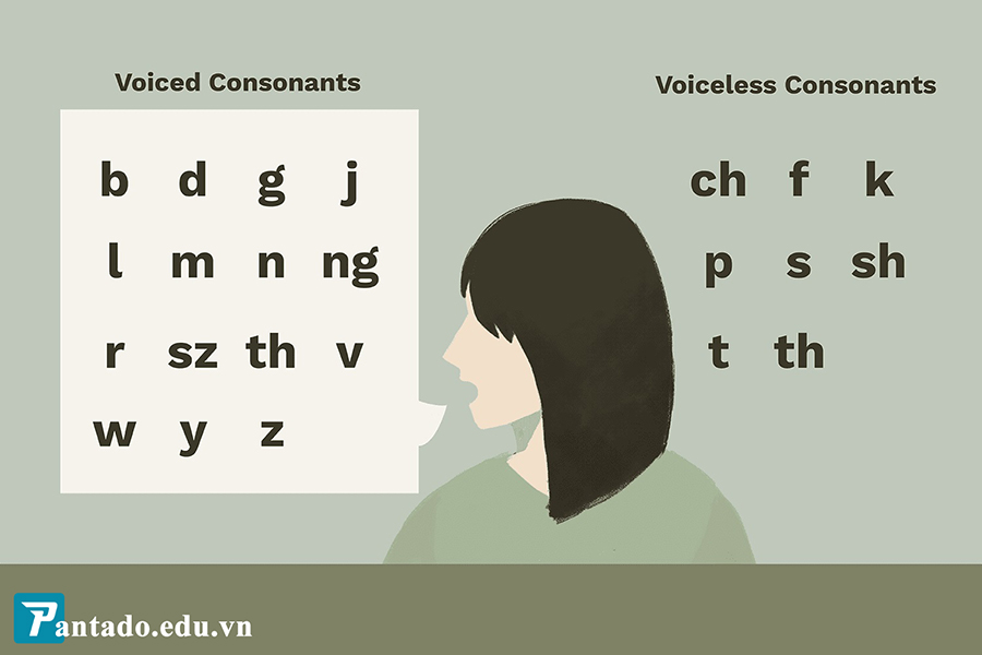 phụ âm trong tiếng anh
