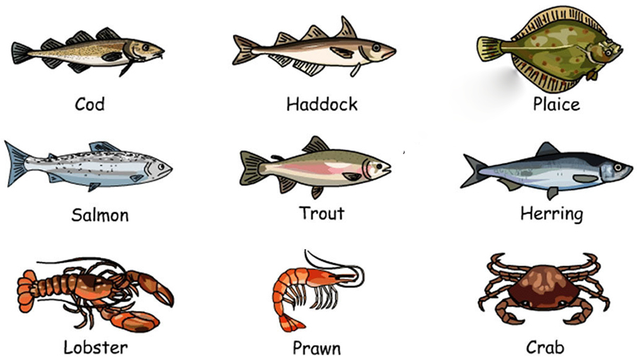 Từ vựng tiếng anh về động vật